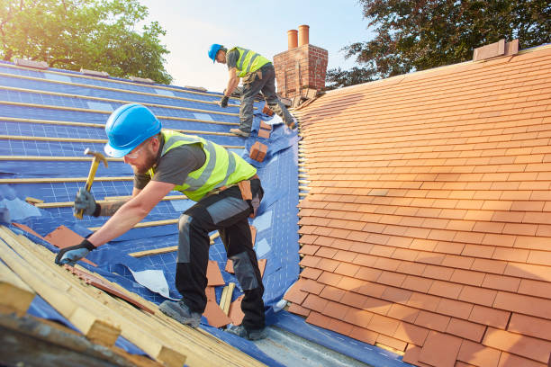 Best Sheet Metal Roofing  in Mescal, AZ
